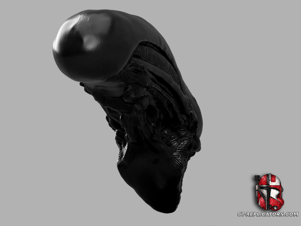 STL 3D Print Files Xenomorph Life-Size Head 1:1 Replica