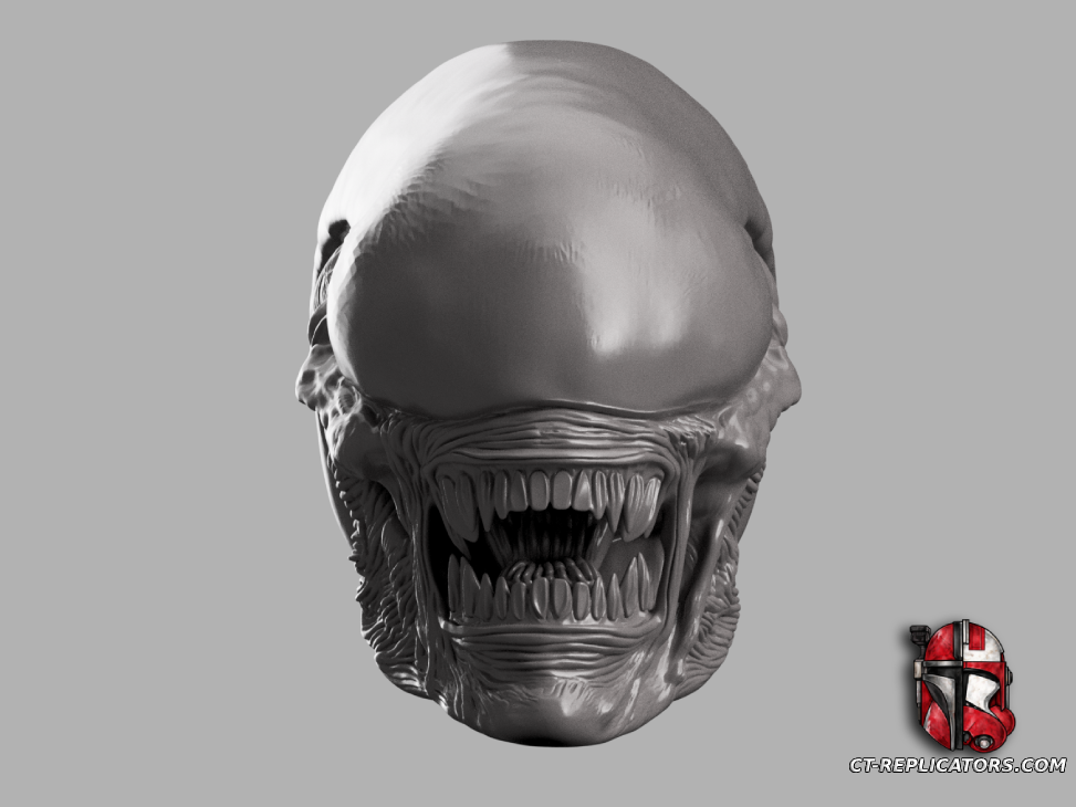 STL 3D Print Files Xenomorph Life-Size Head 1:1 Replica