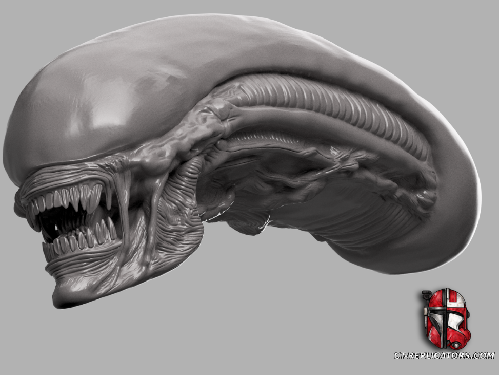 STL 3D Print Files Xenomorph Life-Size Head 1:1 Replica